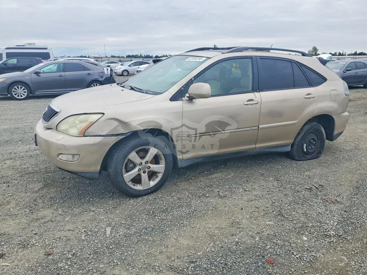 Lexus RX 3.3L 6 2004