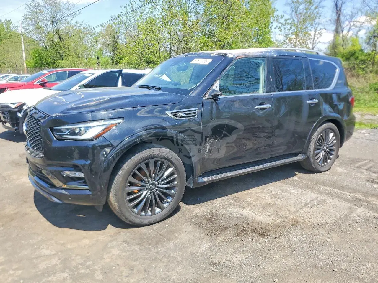 Infiniti QX80 5.6L 8 2024