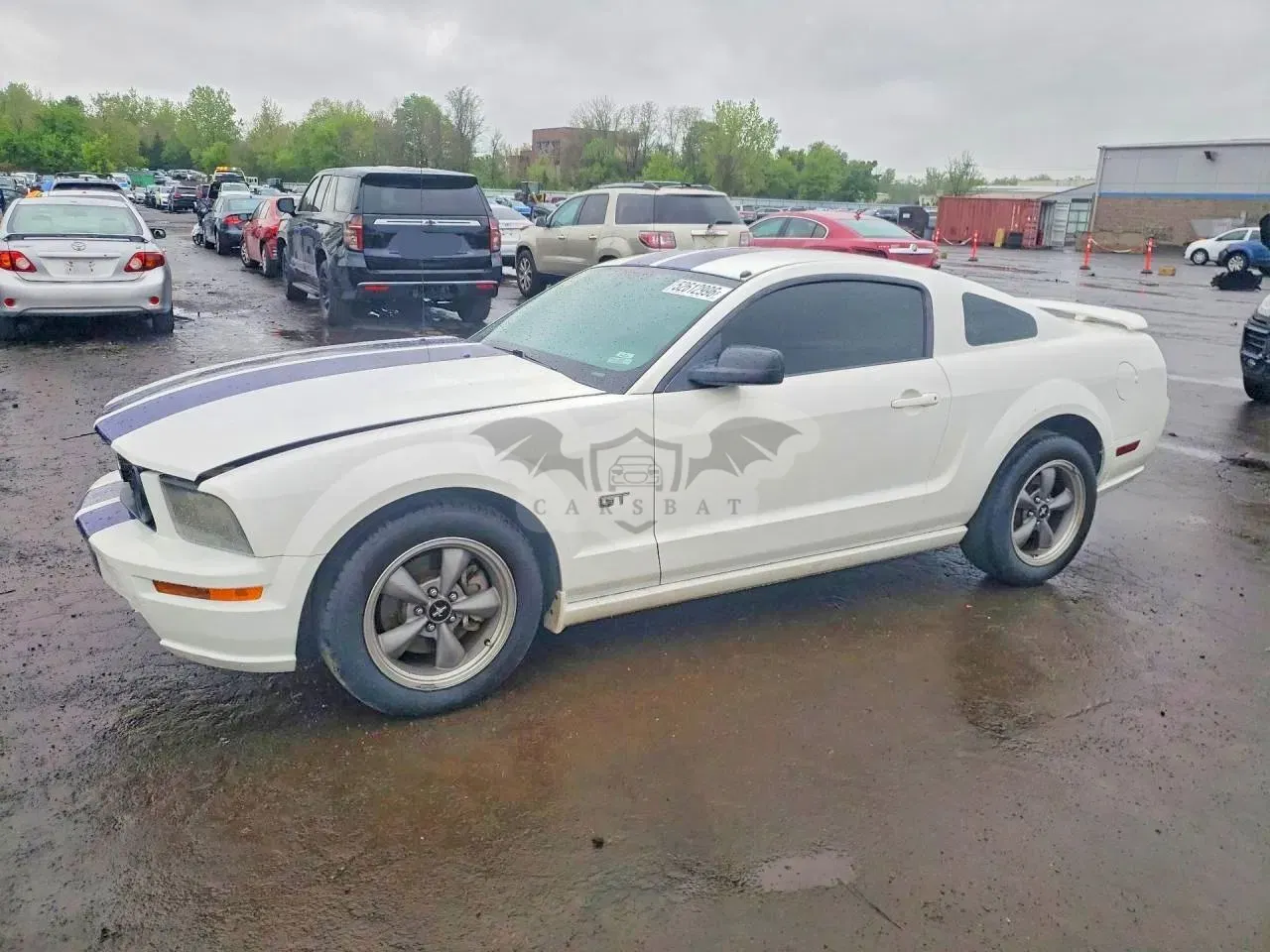 Ford Mustang 4.6L 8 2006