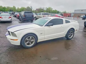 Ford Mustang 4.6L 8 2006