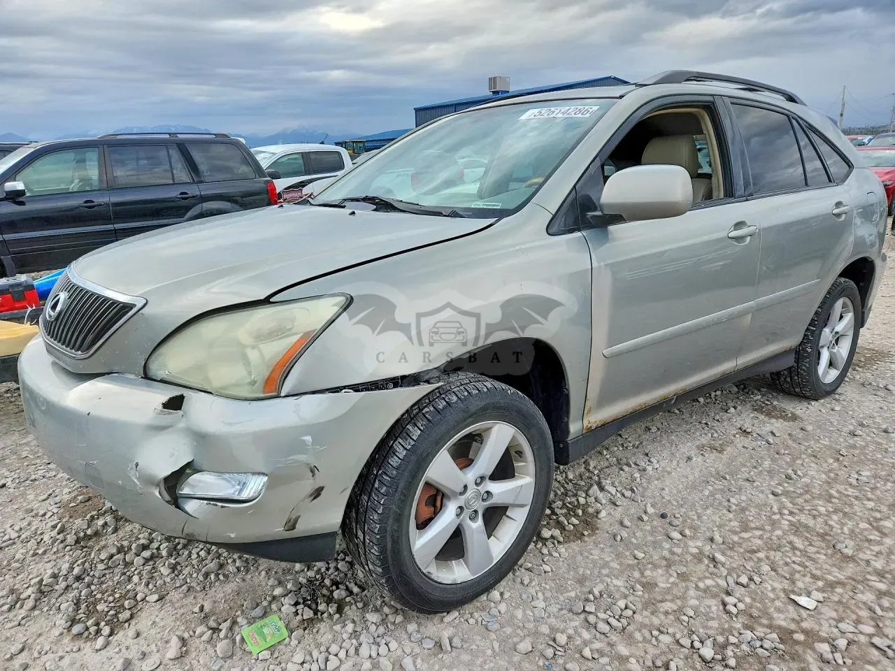 Lexus RX 3.3L 6 2004