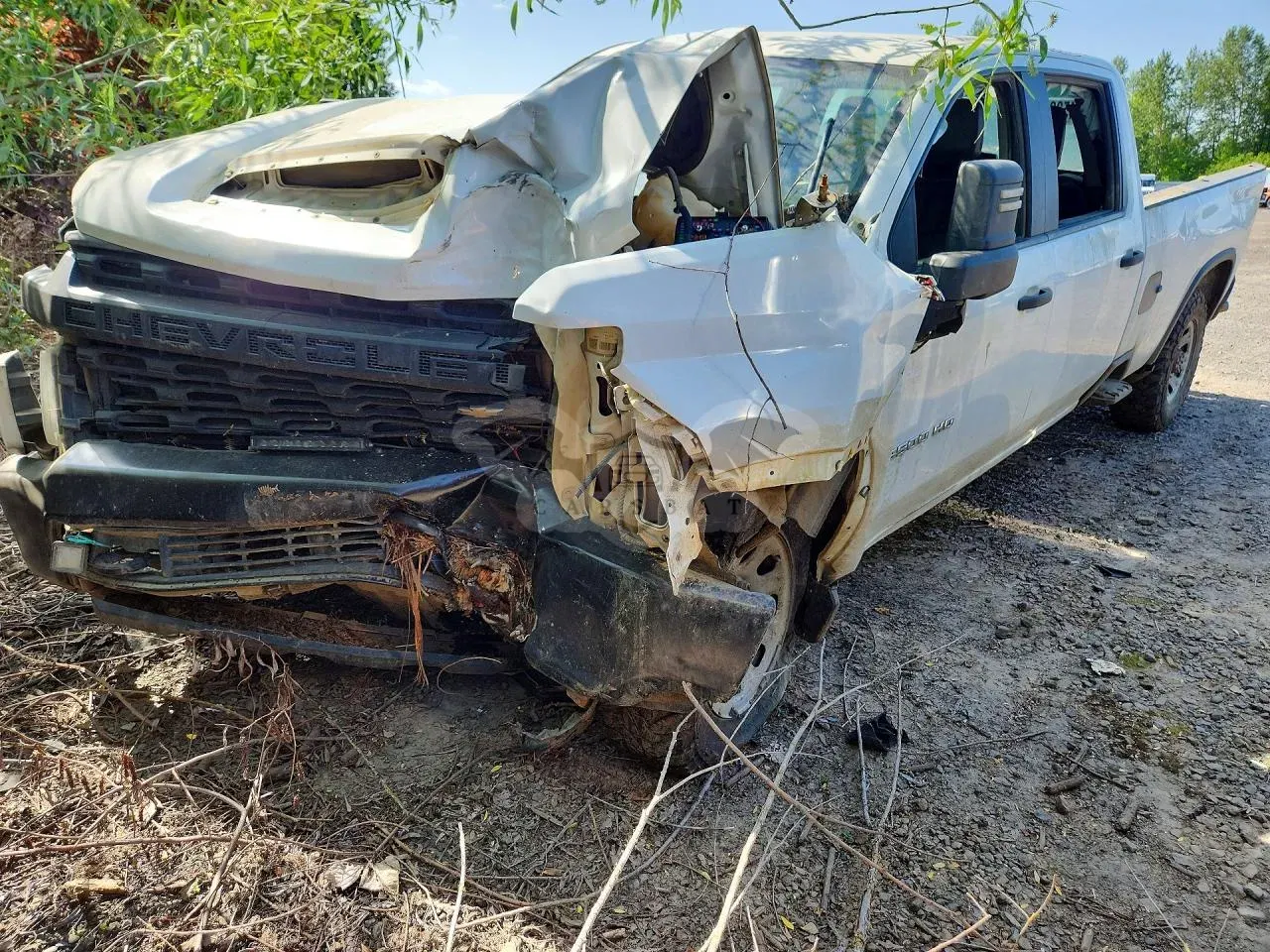 Chevrolet Silverado 1500 6.6L 8 2021