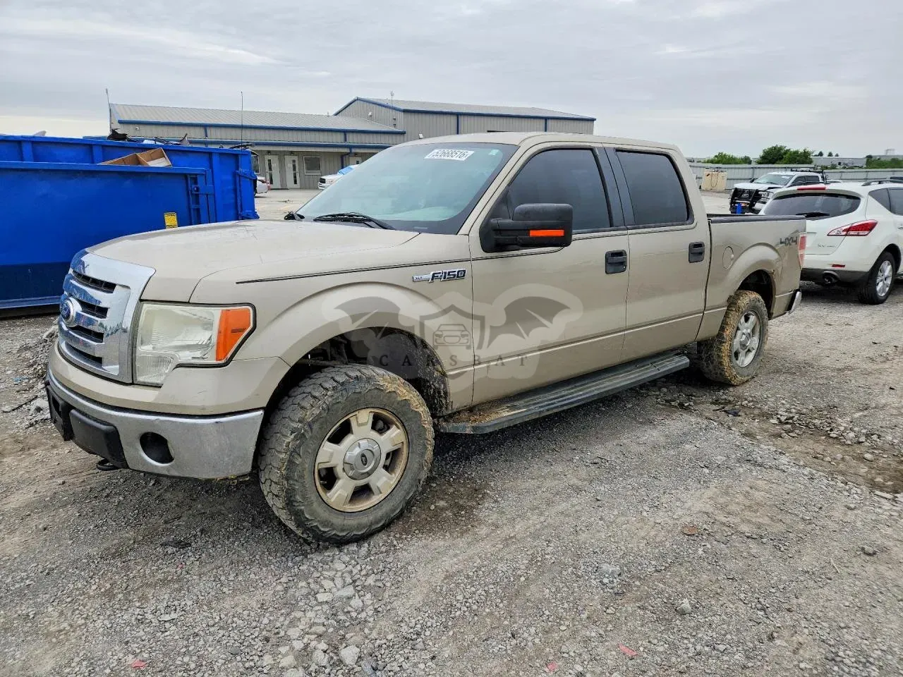 Ford F-150 2010