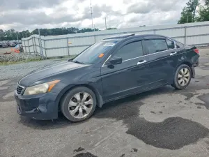 Honda Accord 2008