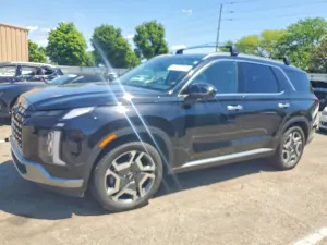 Hyundai Palisade 3.8L 6 2024
