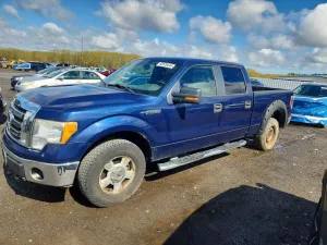 Ford F-150 4.6L 8 2010