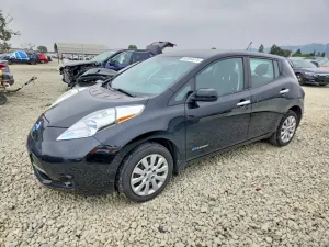 Nissan Leaf 0.0L 0 2013
