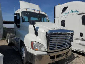 Freightliner Cascadia 12.8L 6 2019