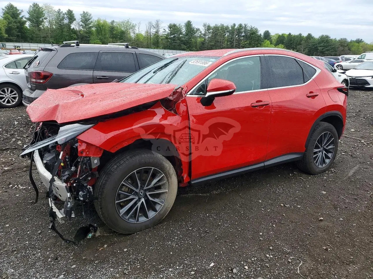 Lexus NX 2.5L 4 2024