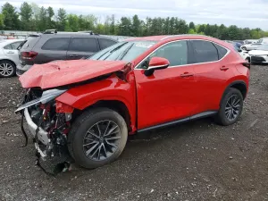 Lexus NX 2.5L 4 2024