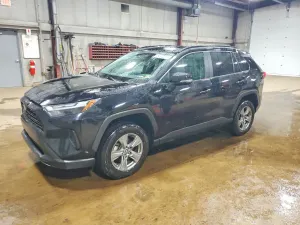 Toyota Rav4 2.5L 4 2024