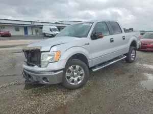 Ford F-150 4.6L 8 2010
