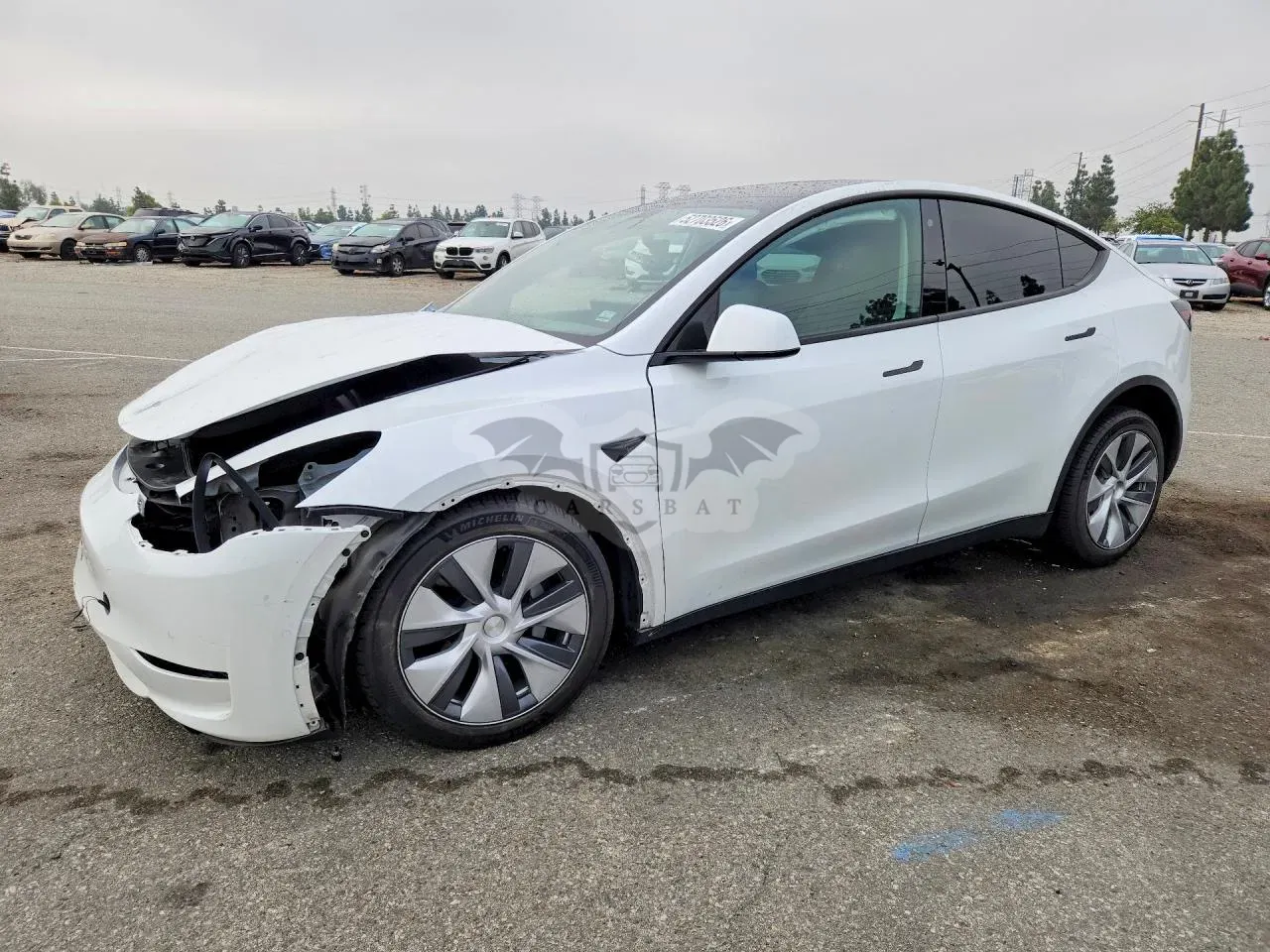 Tesla Model Y 2020