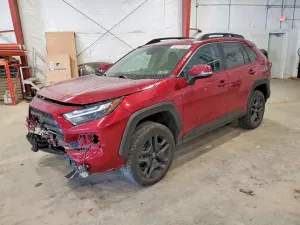 Toyota Rav4 2.5L 4 2024