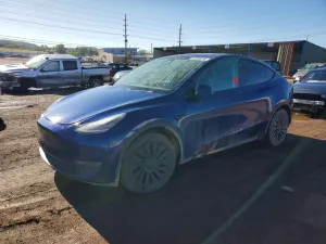 Tesla Model Y 2020