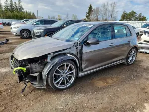 Volkswagen Golf 2L 4 2017