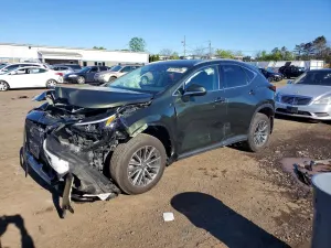 Lexus NX 2.4L 4 2023