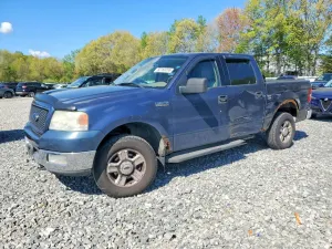 Ford F-150 4.6L 8 2004