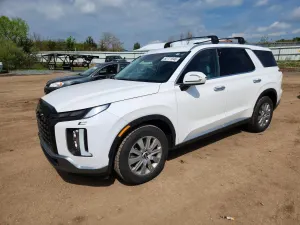Hyundai Palisade 3.8L 6 2024