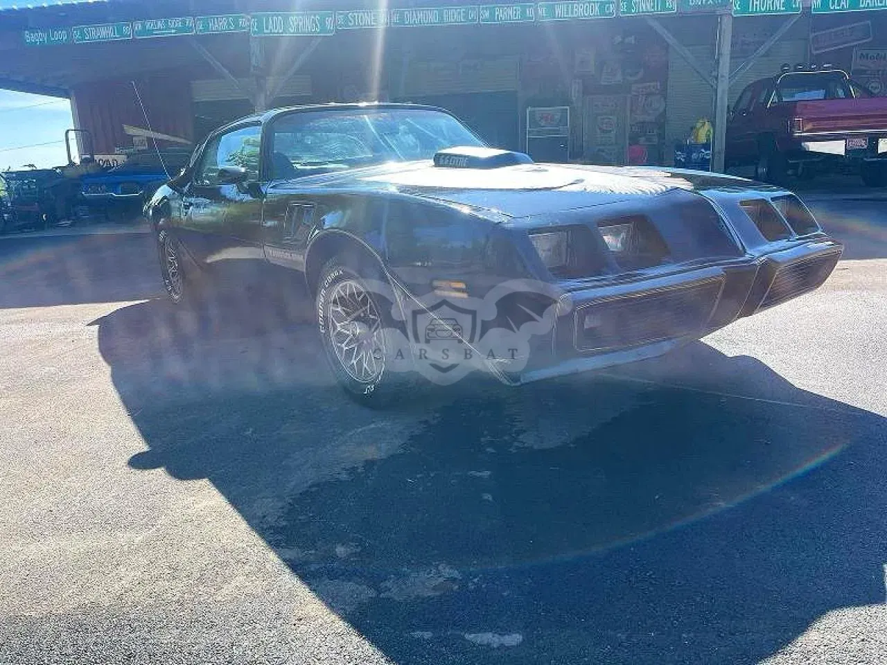 Pontiac Firebird 5.0L 8 1981