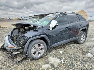 Toyota Rav4 2.5L 4 2023