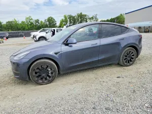 Tesla Model Y 2020