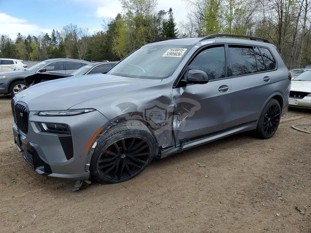 BMW X7 4.4L 8 2025