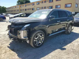 Hyundai Palisade 3.8L 6 2025