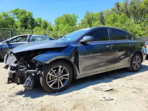 Kia Cerato / Forte / K3 2.0L 4 2022