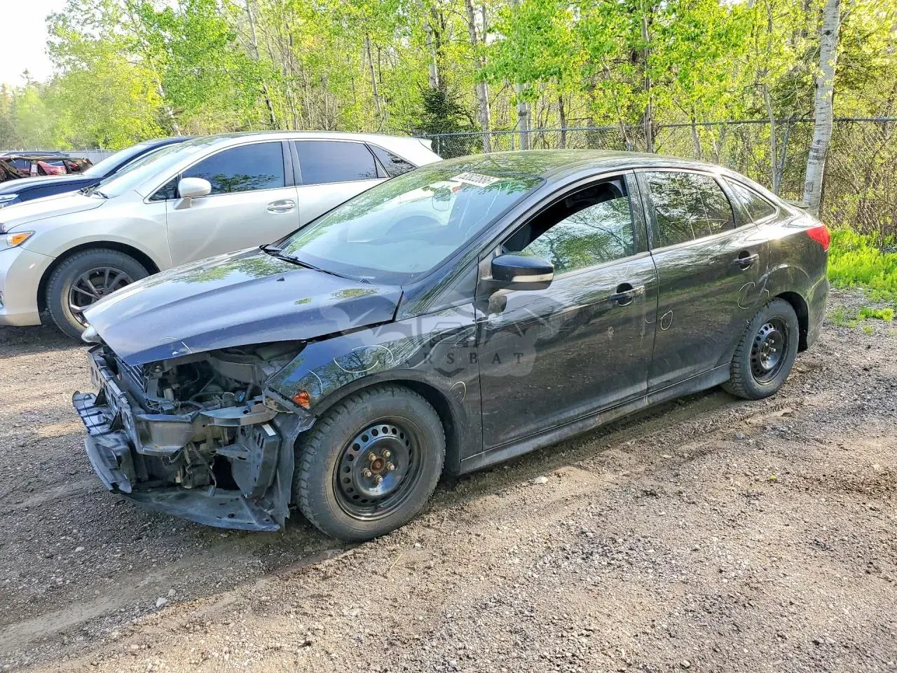 Ford Focus 2.0L 4 2017