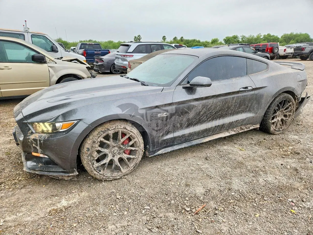 Ford Mustang 5.0L 8 2015