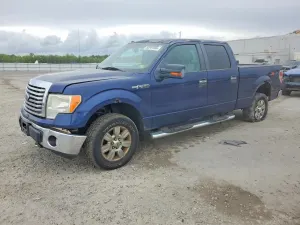 Ford F-150 4.6L 8 2010