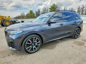 BMW X7 4.4L 8 2019
