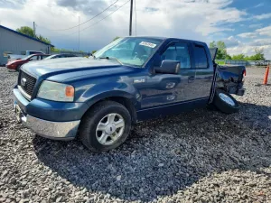 Ford F-150 4.6L 8 2004