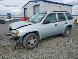 Chevrolet Trailblazer 4.2L 6 2007