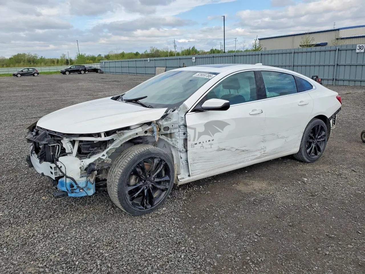 Chevrolet Malibu 1.5L 4 2023