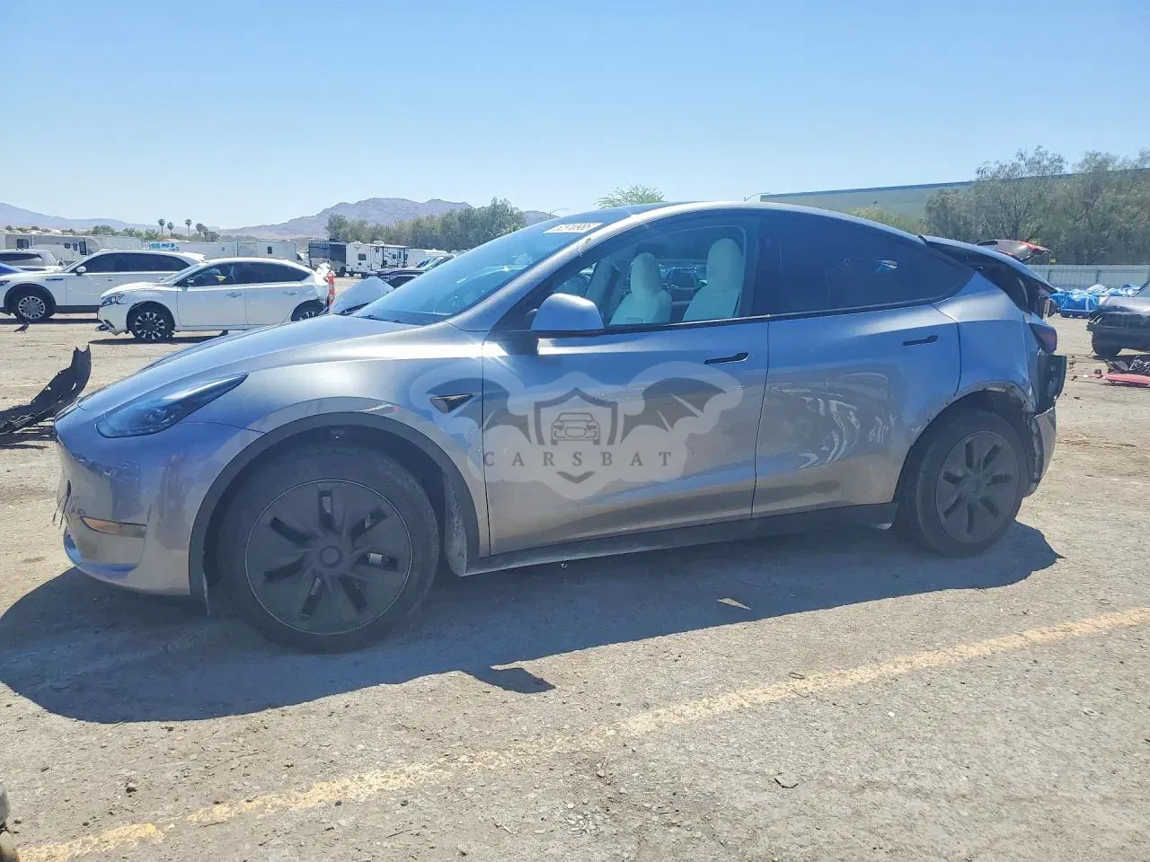 Tesla Model Y 2025