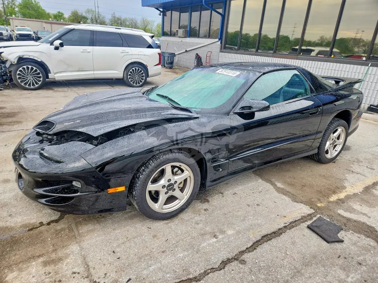 Pontiac Firebird 5.7L 8 1999