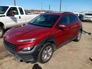 Hyundai Kona 2.0L 4 2023