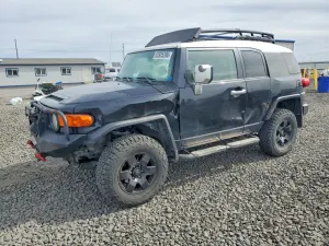 Toyota FJ Cruiser 4.0L 6 2007