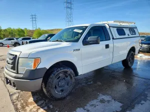 Ford F-150 4.6L 8 2009