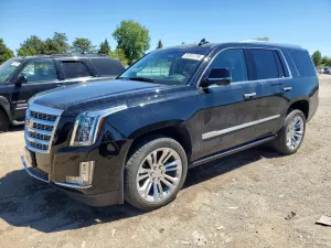 Cadillac Escalade 6.2L 8 2019