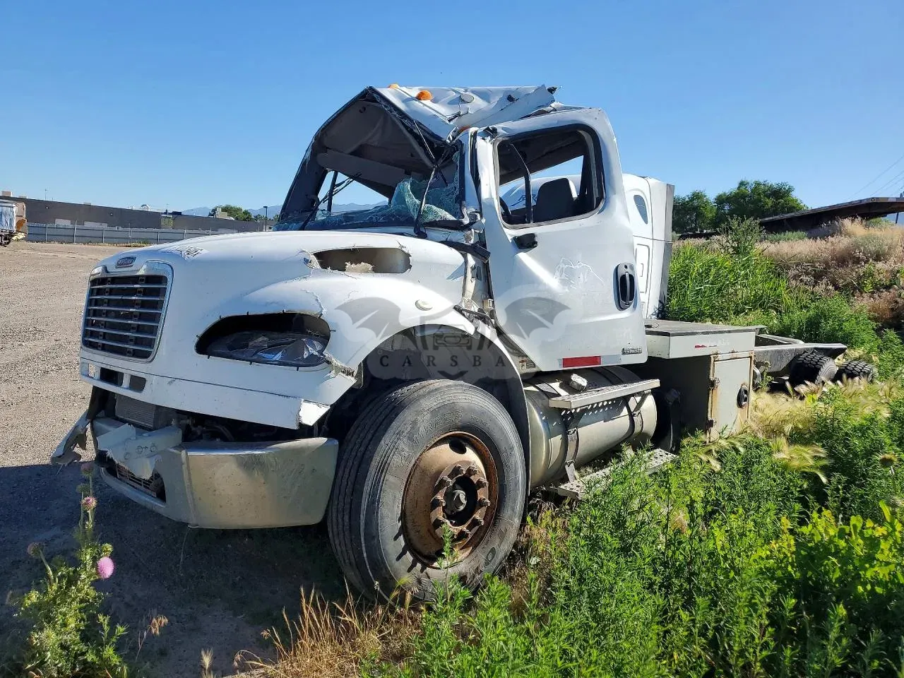 Freightliner Business Class M2 8.3L 6 2012