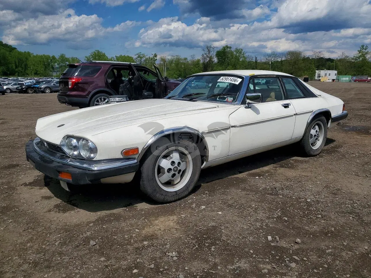 Jaguar XJS 5.3L 12 1986