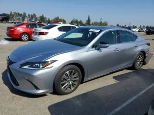 Lexus ES 3.5L 6 2024