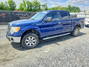 Ford F-150 4.6L 8 2010