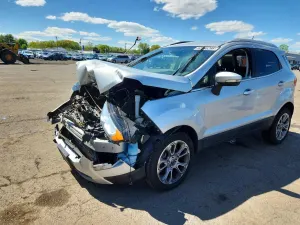 Ford Ecosport 2.0L 4 2019