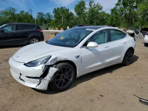 Tesla Model 3 2019