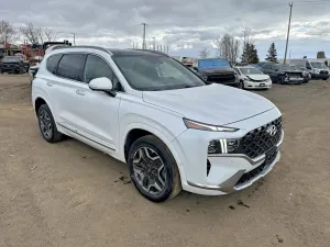 Hyundai Santa Fe 2.5L 4 2021