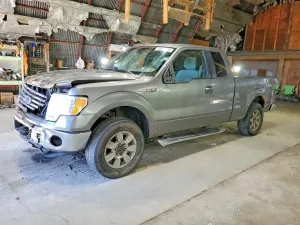 Ford F-150 4.6L 8 2010